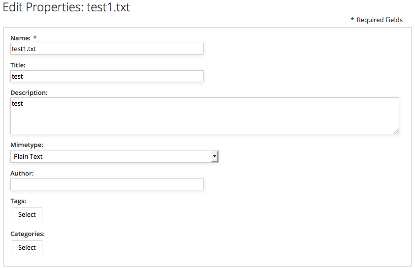Alfresco Share displays a form configured for the custom type